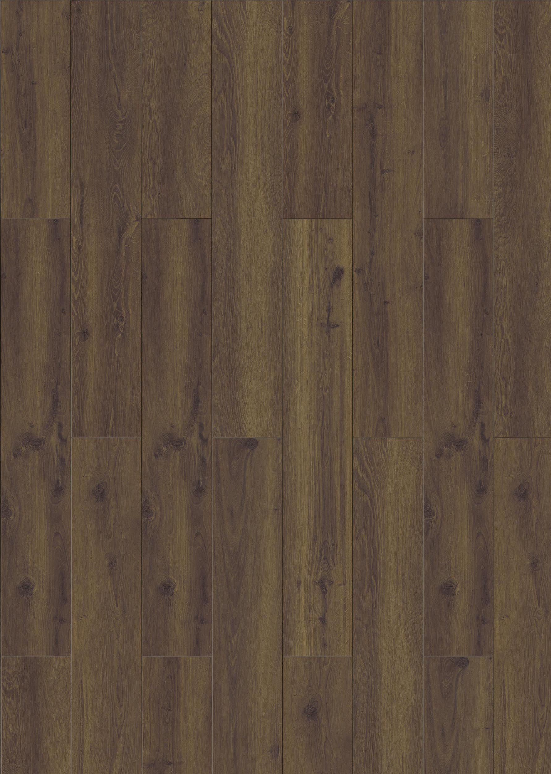 Laminate CASK OAK INH56352 Visions 8 MM