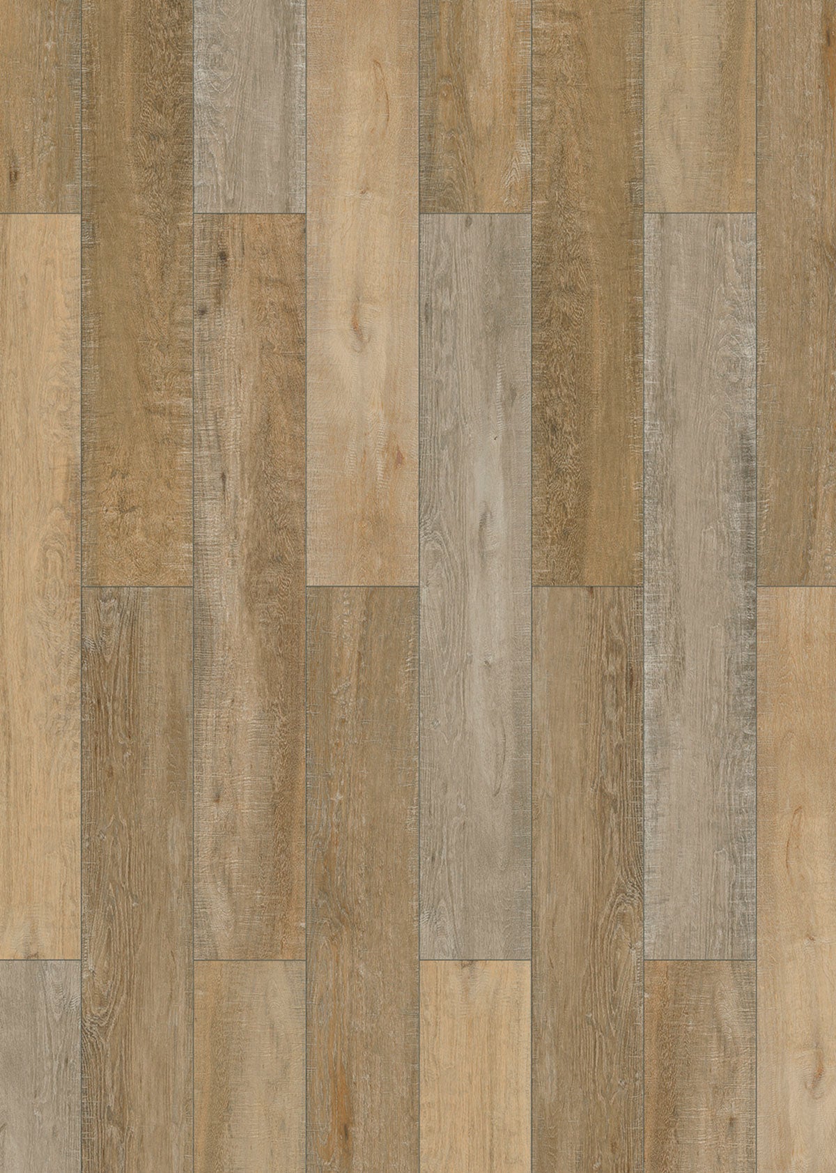 Laminate Coldspring INH56146 Inspirations 8MM