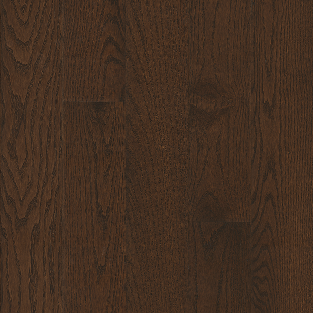Hardwood Countryside Brown SAKP59H204 Paragon - Smooth Oak High Gloss