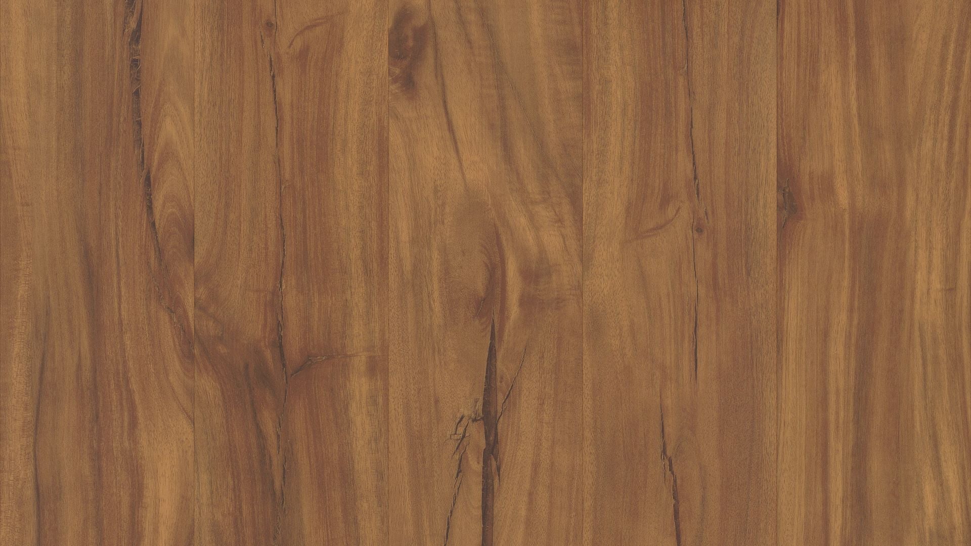 Vinyl Gold Coast Acacia VV023 CORETEC PLUS 5\" PLANK COLLECTION