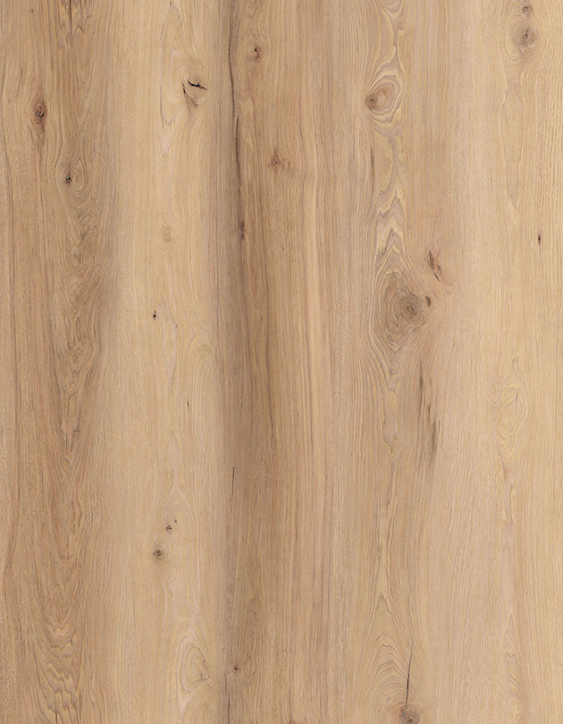 Vinyl HOMEWOOD WALTZ LI-ID014 The Indoor Delight Collection