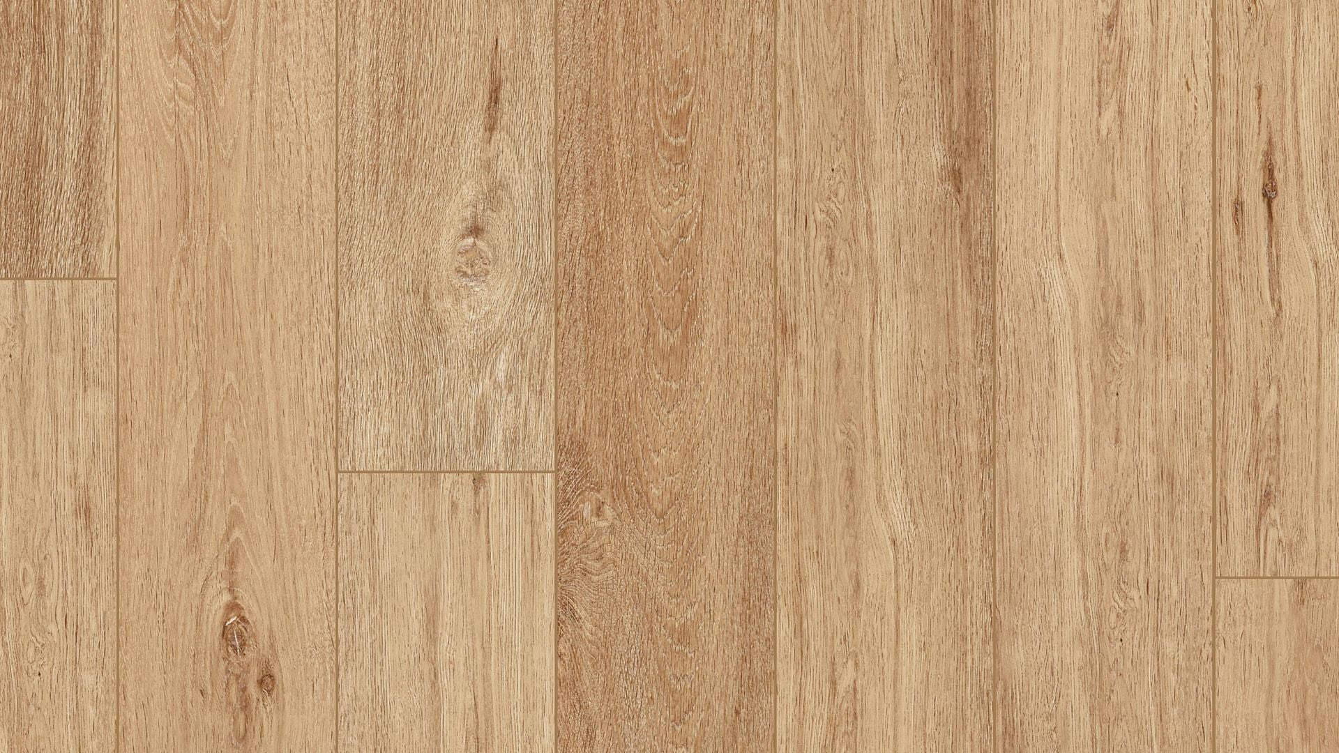 Special First Quality Vinyl Lyric Oak VV492 CORETEC PRO ENHANCED PLANKS COLLECTION
