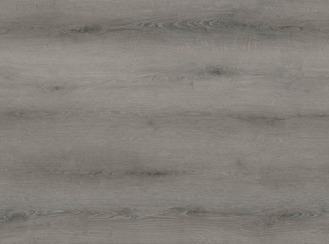 Vinyl MONOGRAM BB-IV The Bambino Collection