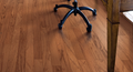 Hardwood Oak Golden Woodmore 3"