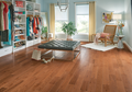 Hardwood Original Ember SAKP59H201 Paragon - Smooth Oak High Gloss