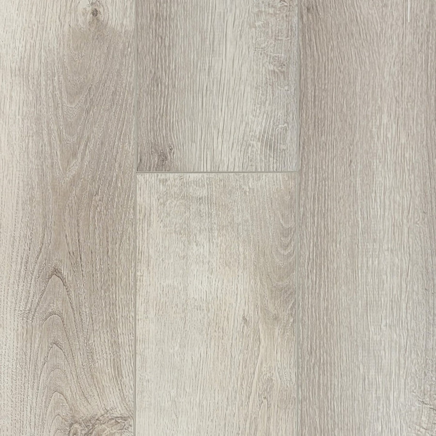 Vinyl Santa Monica NEW STANDARD PLUS R014