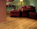 Hardwood Spice 2 1/4" CB422 WESTCHESTER STRIP