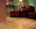 Hardwood Natural 2 1/4" CB420 WESTCHESTER STRIP