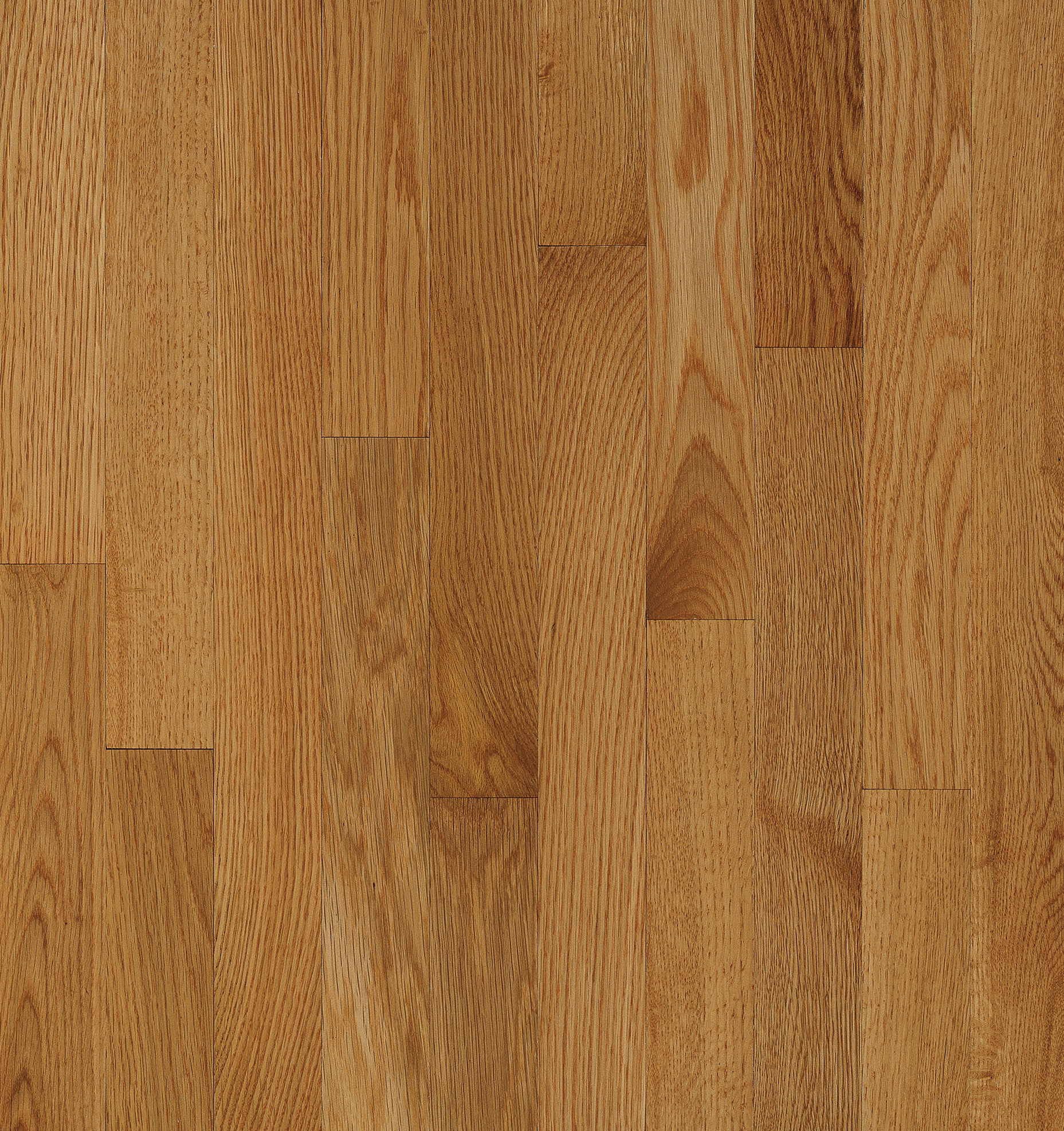 Hardwood Desert Natural 2 1/4" High Gloss C5061 NATURAL CHOICE
