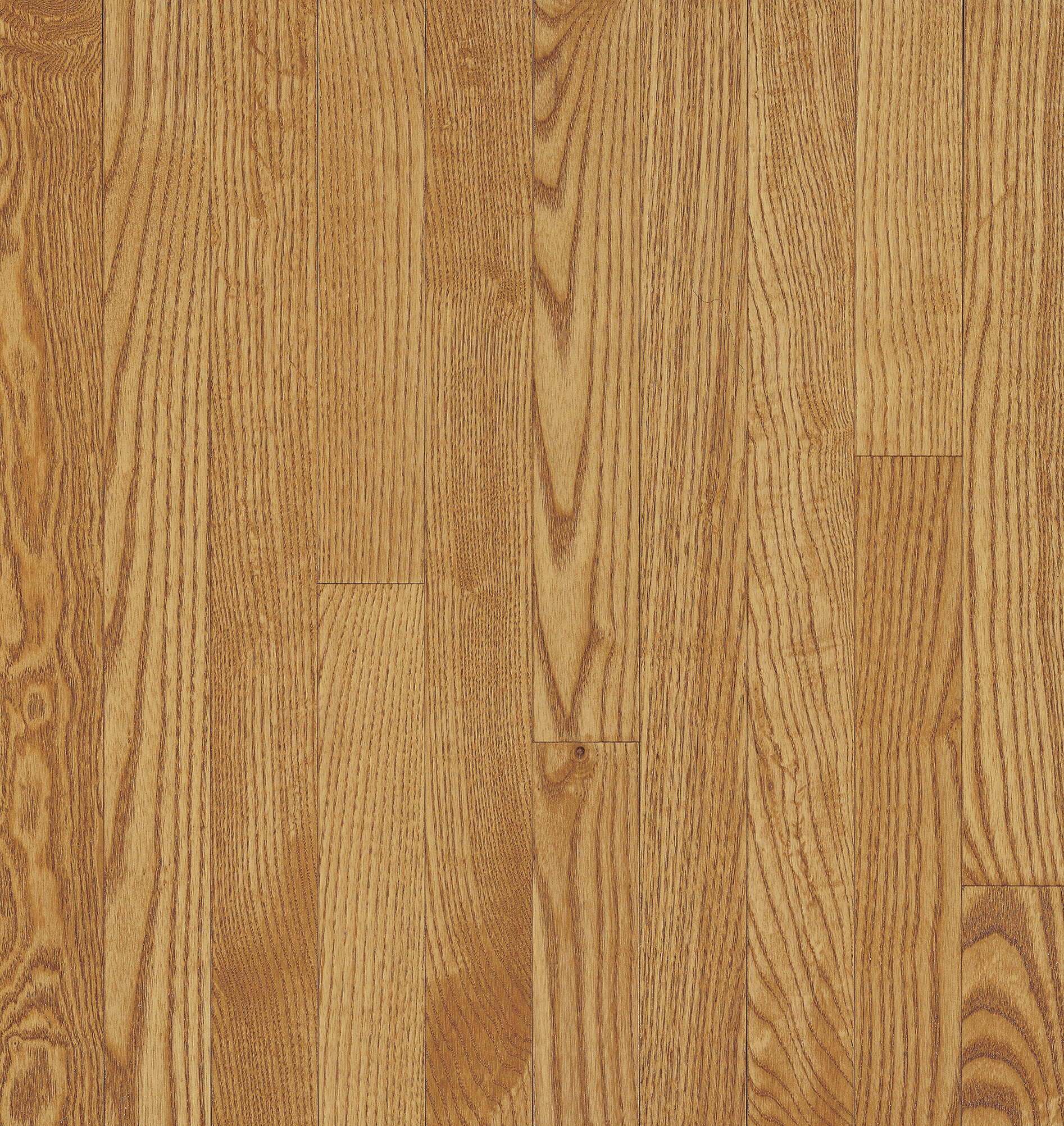 Hardwood Dune 2 1/4" CB232 Dundee STRIP