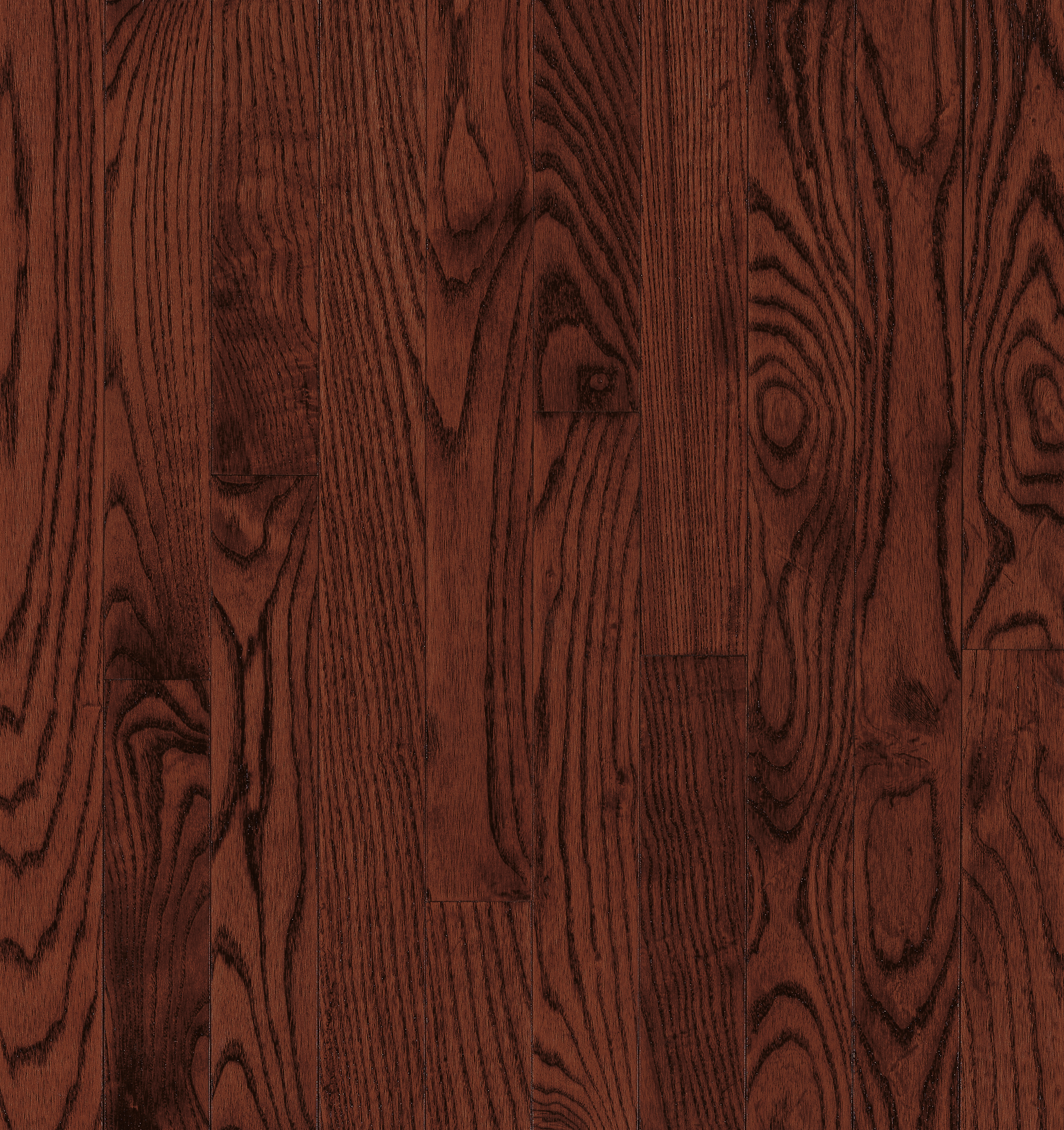Hardwood Cherry 3 1/4" CB728 WESTCHESTER