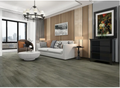 Vinyl Cool Sands Mountain Apex Collection
