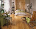 Hardwood Seashell 3 1/4" CB730 WESTCHESTER