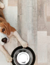 Paws and Floors: The Top Flooring Choices for Pet Owners By Factory Flooring Liquidators