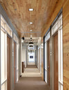 Revamping Commercial Spaces: Is Wood Wall Paneling the Right Choice?