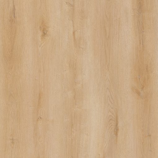 Vinyl  AN5509/Whyte Ridge Aspen NEW Collection