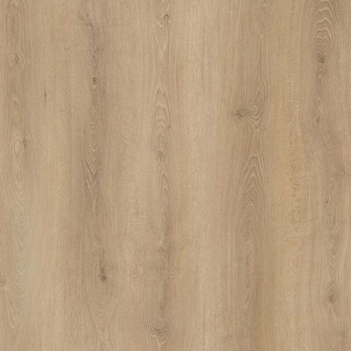 DDC AN5507/Grapevine Aspen NEW Collection
