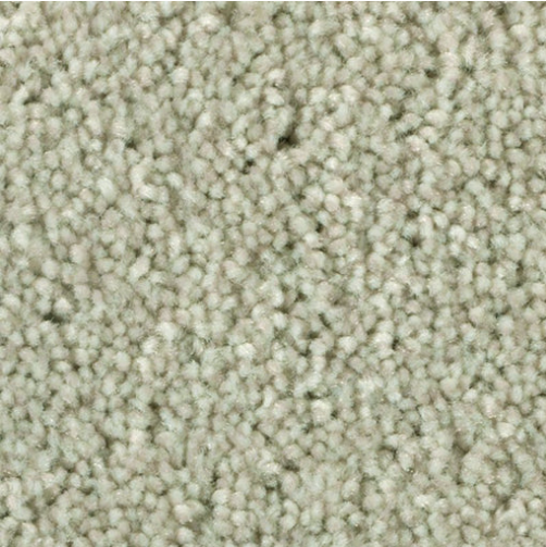 Polyester Carpe PRISM  Distinct Beauty 2W53
