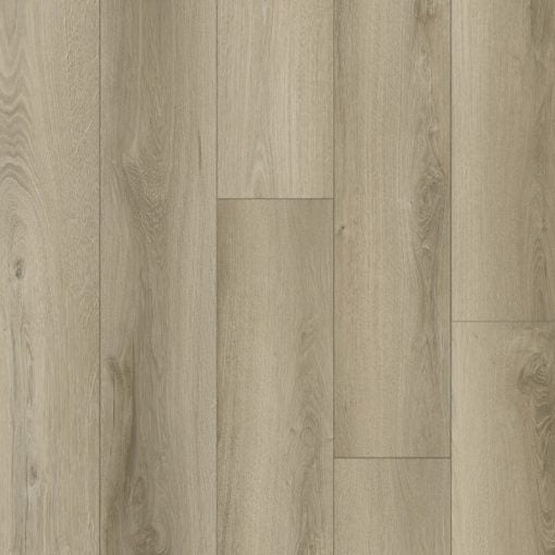 DDC AN5506/Sliver Moon Aspen NEW Collection