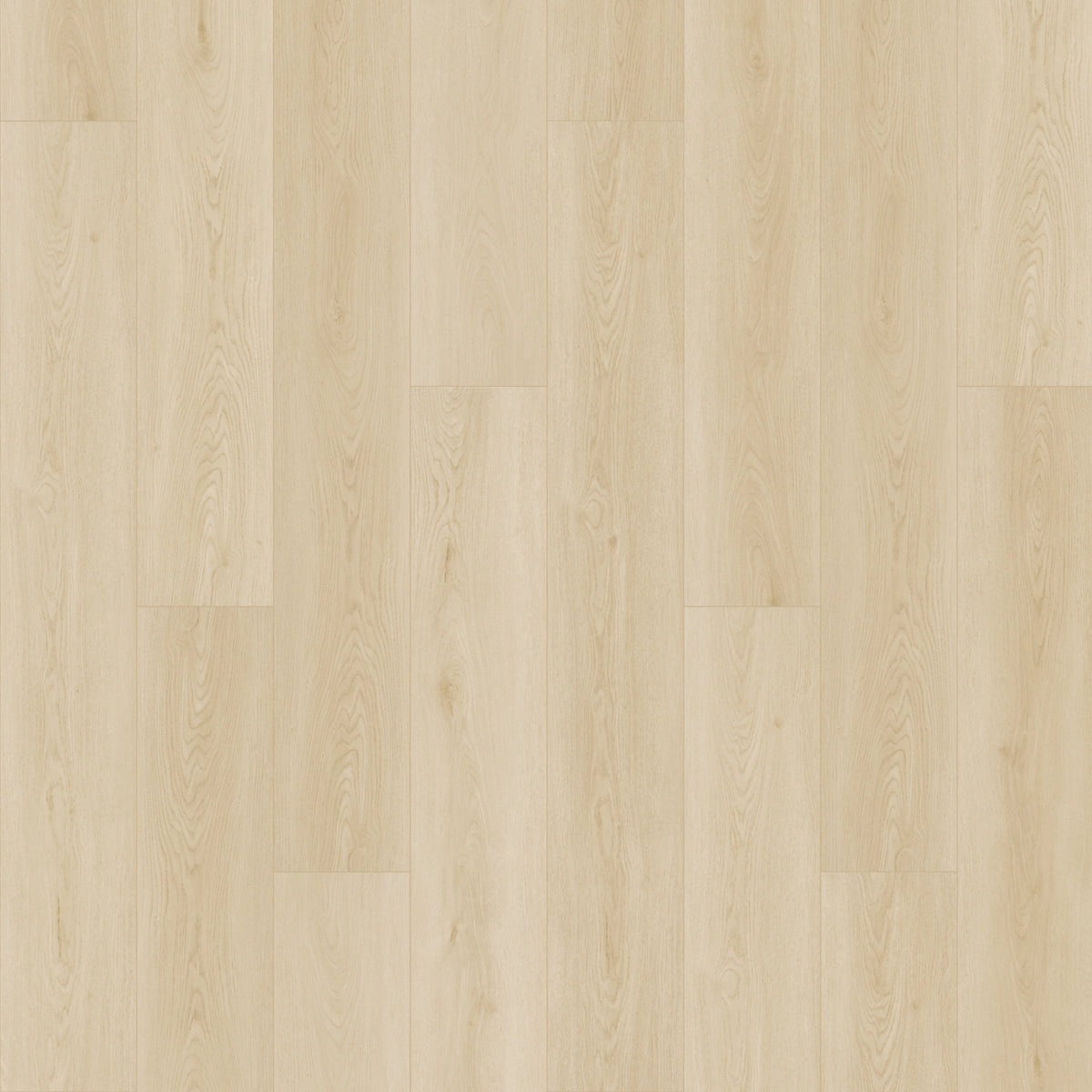 Vinyl Sparrow Whitmore Terrace 4.5 Collection