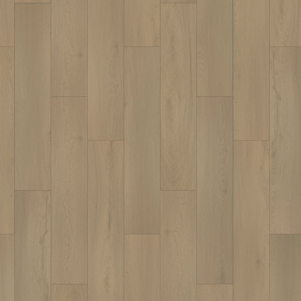 Vinyl Elise Whitmore Terrace 4.5 Collection