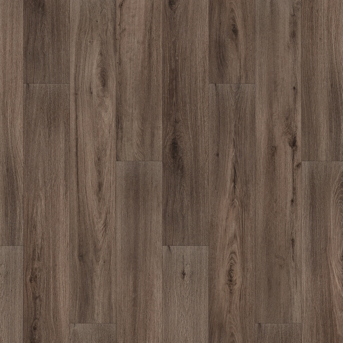 Vinyl Blake Whitmore Terrace 4.5 Collection