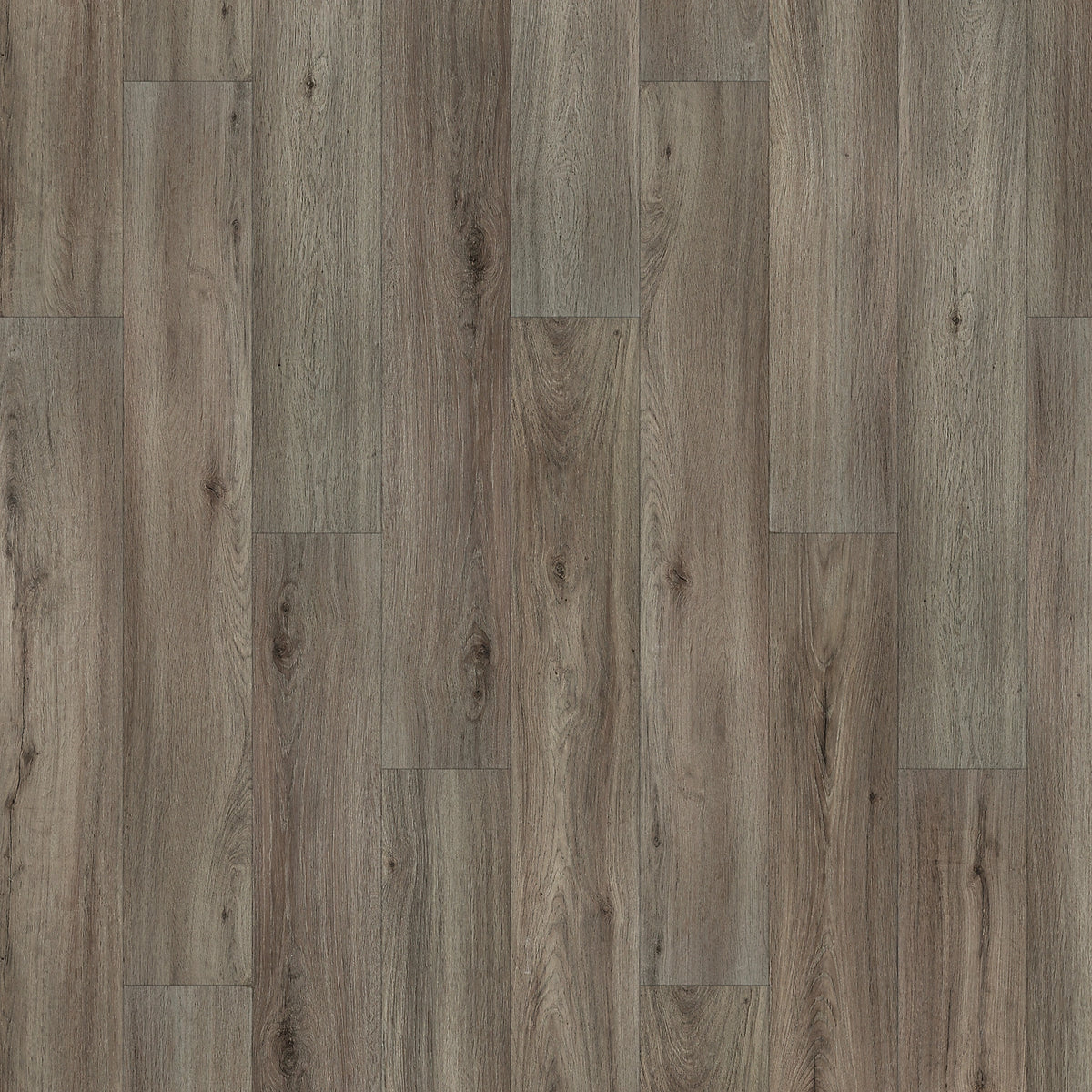 Vinyl Ashwood Whitmore Terrace 4.5 Collection