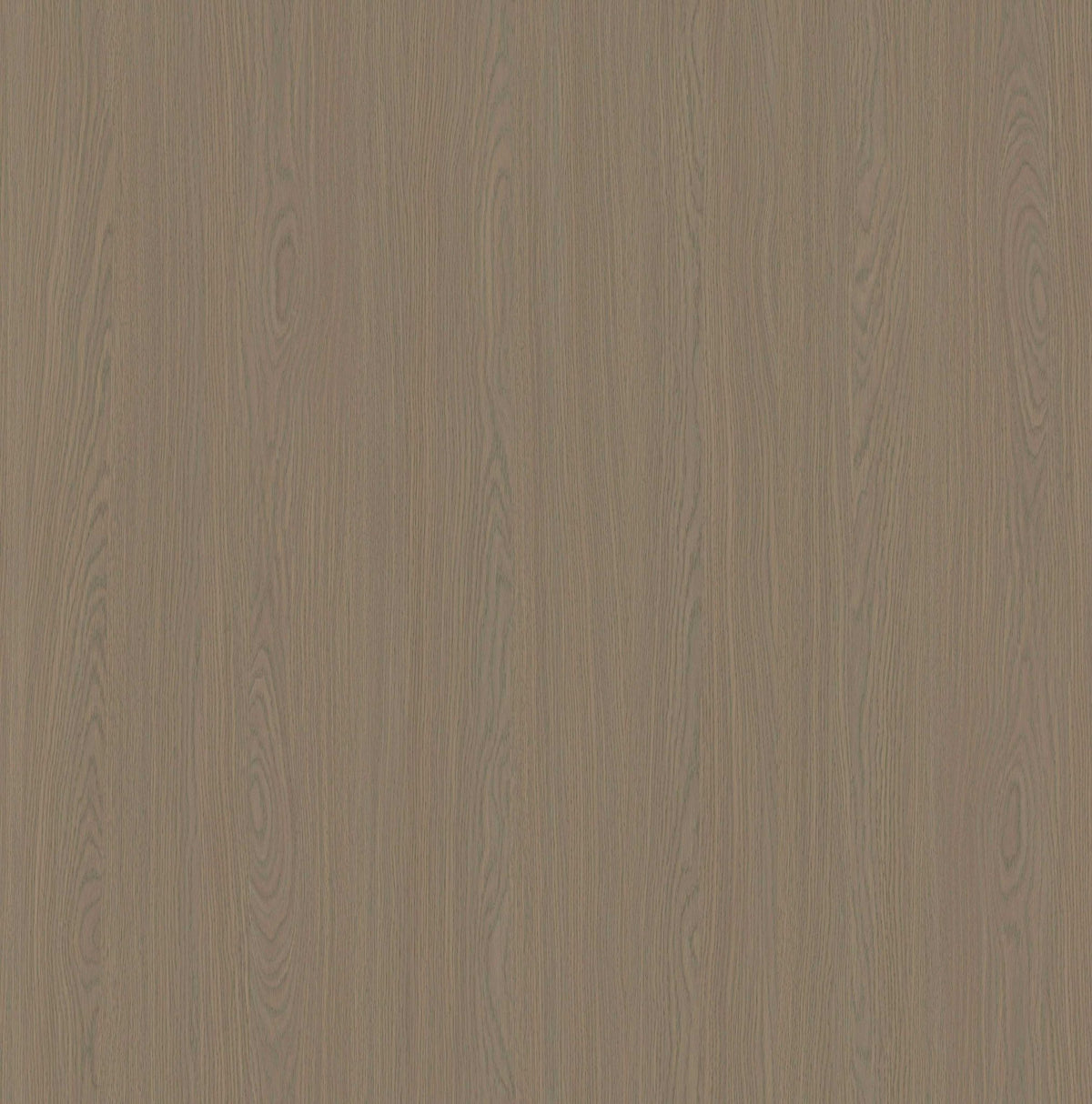 Italia Classics Herringbone Collection - Bologna by Muller Graft