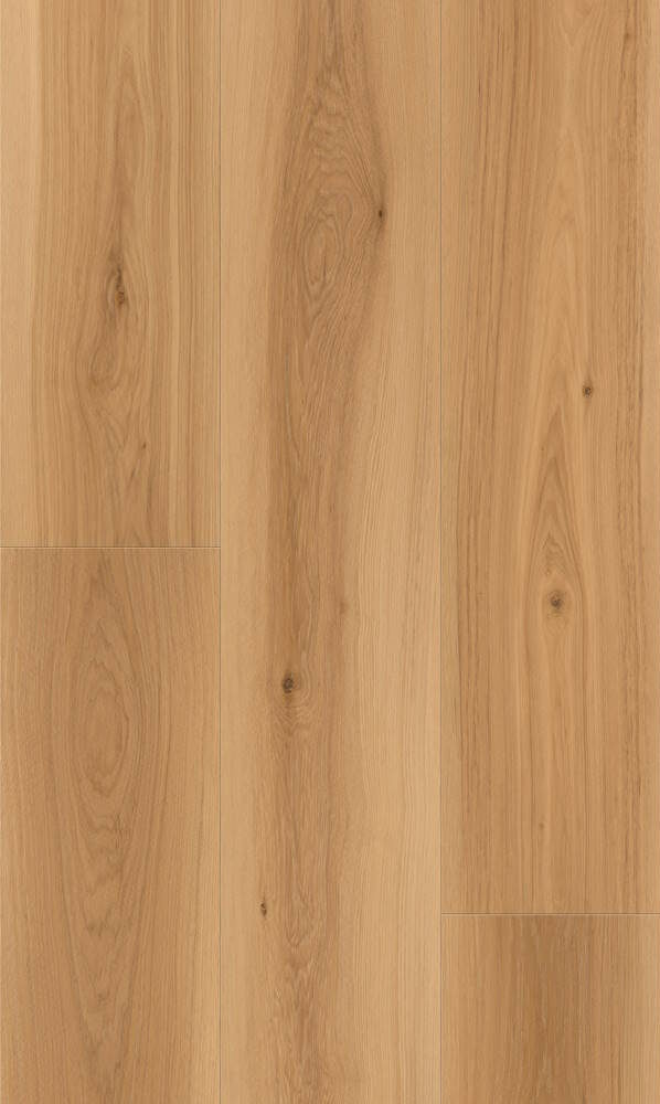 Laminate Alevo L-AL-AO-901 Altus Collection