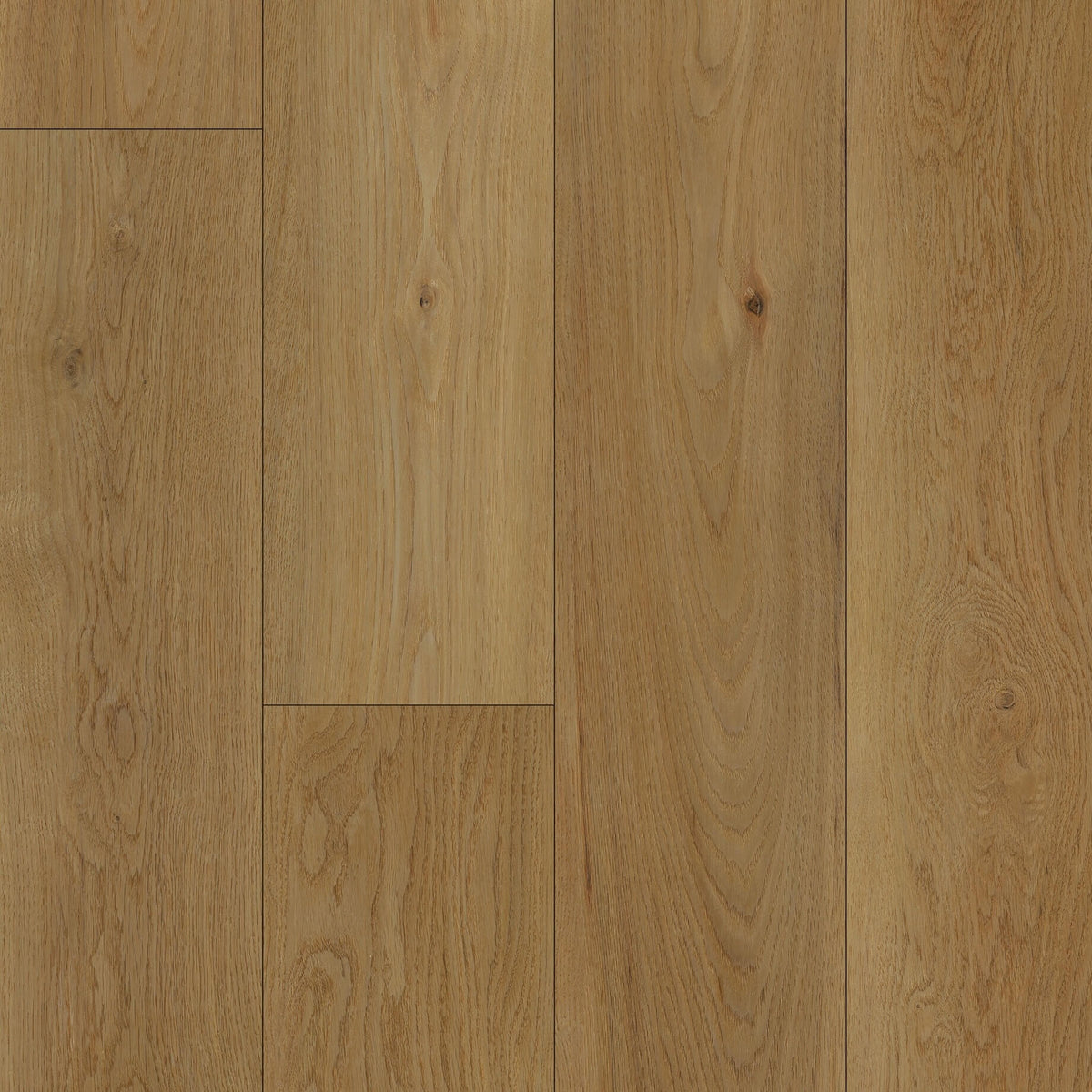 Apex WPC - Imola by Echelon Floors