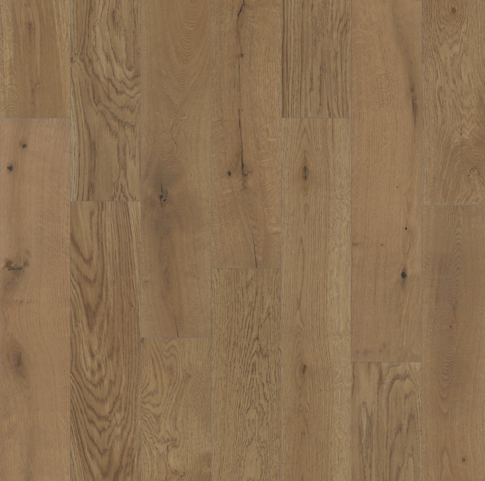 Hardwood Bedrock ENCHANTED COLLECTION