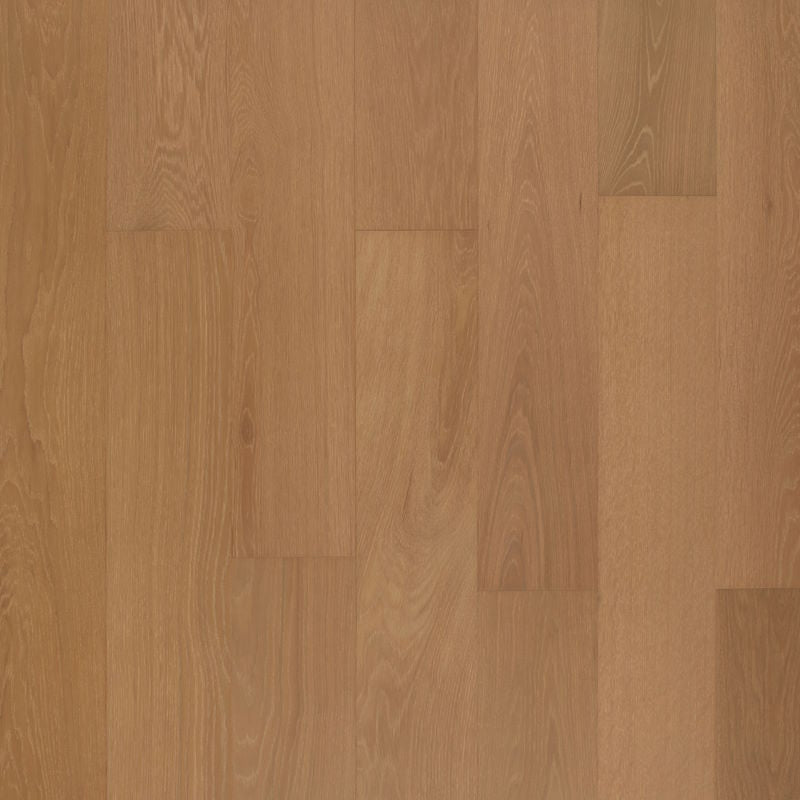 Bellissimo - Amore by Green World Industries