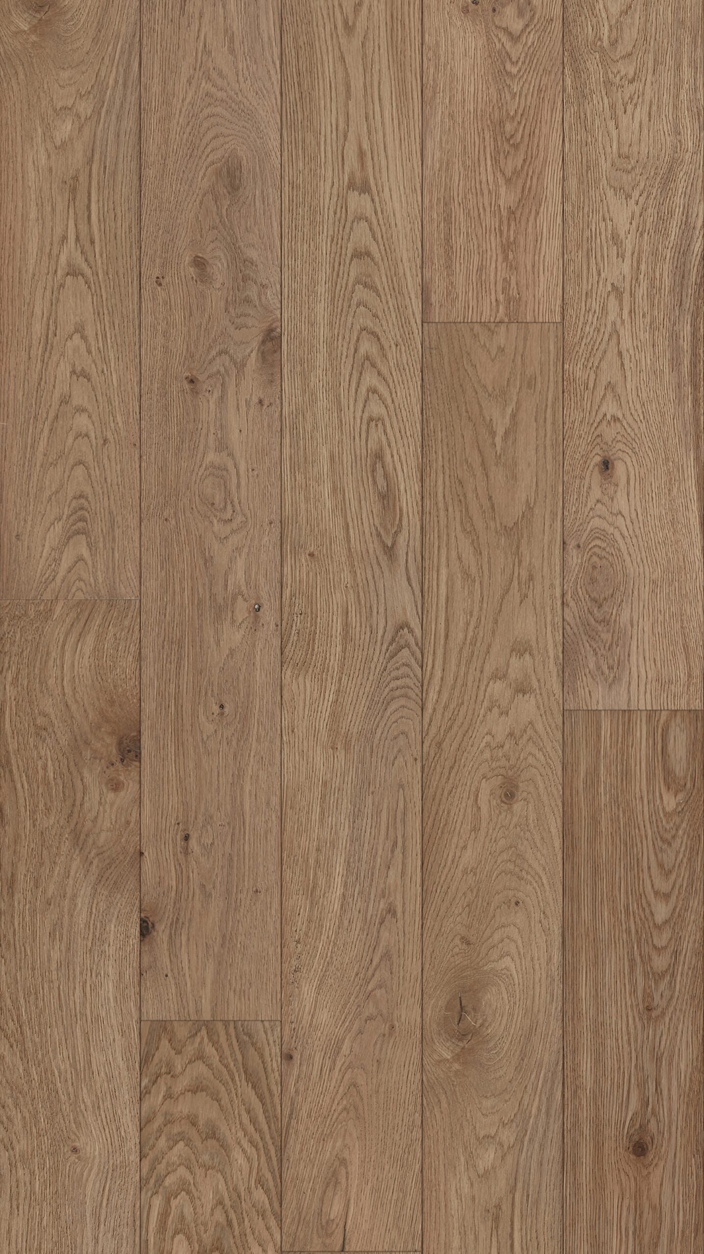 Hardwood Brewster TRINITY