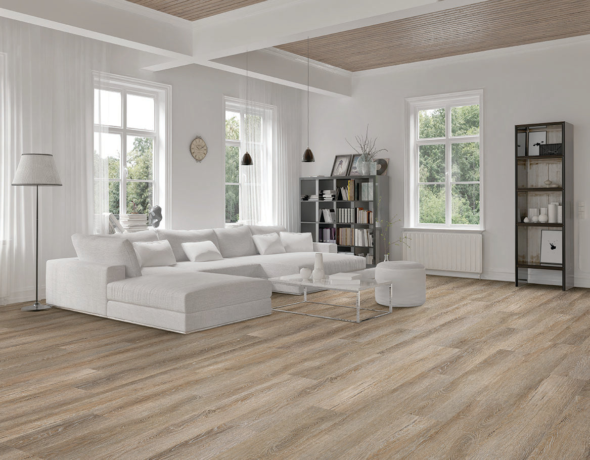 Vinyl Clay Soma Collection Collection