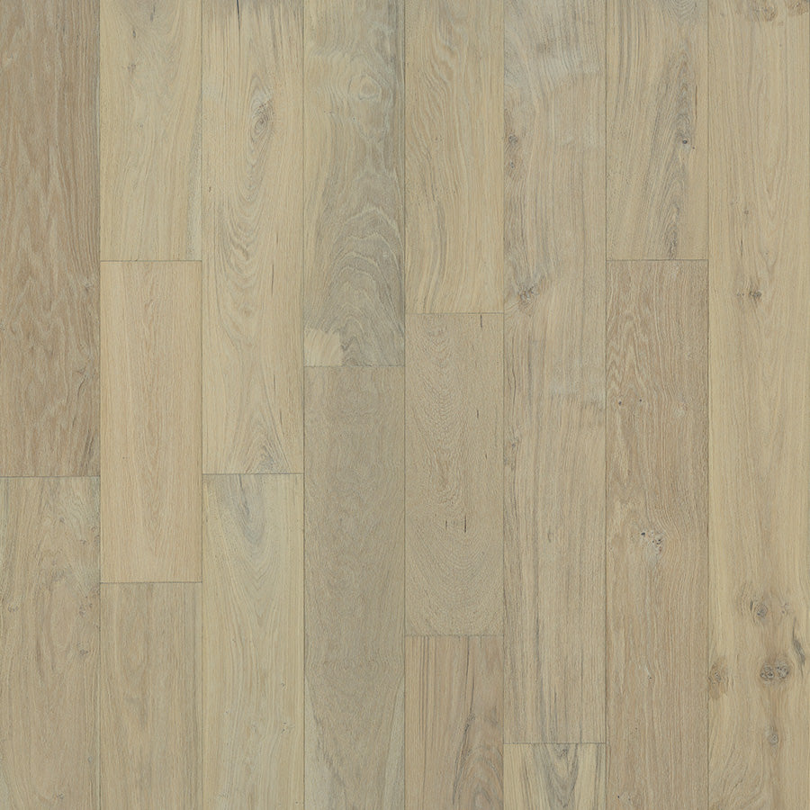Horizon Forest Amelia Oak HALCCOAMELIA Coastline Collection