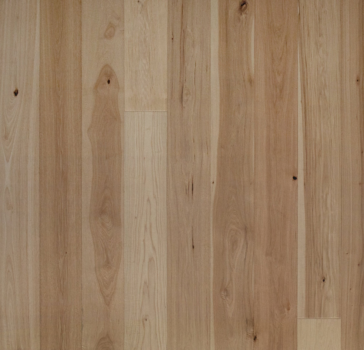 Hardwood Natural Trailhead Collection by Echelon Floors