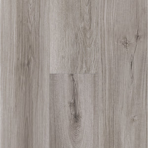 next Latte Everwood Collection