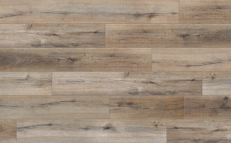 Laminate Ferdinand BVS-19412 Bella Vista
