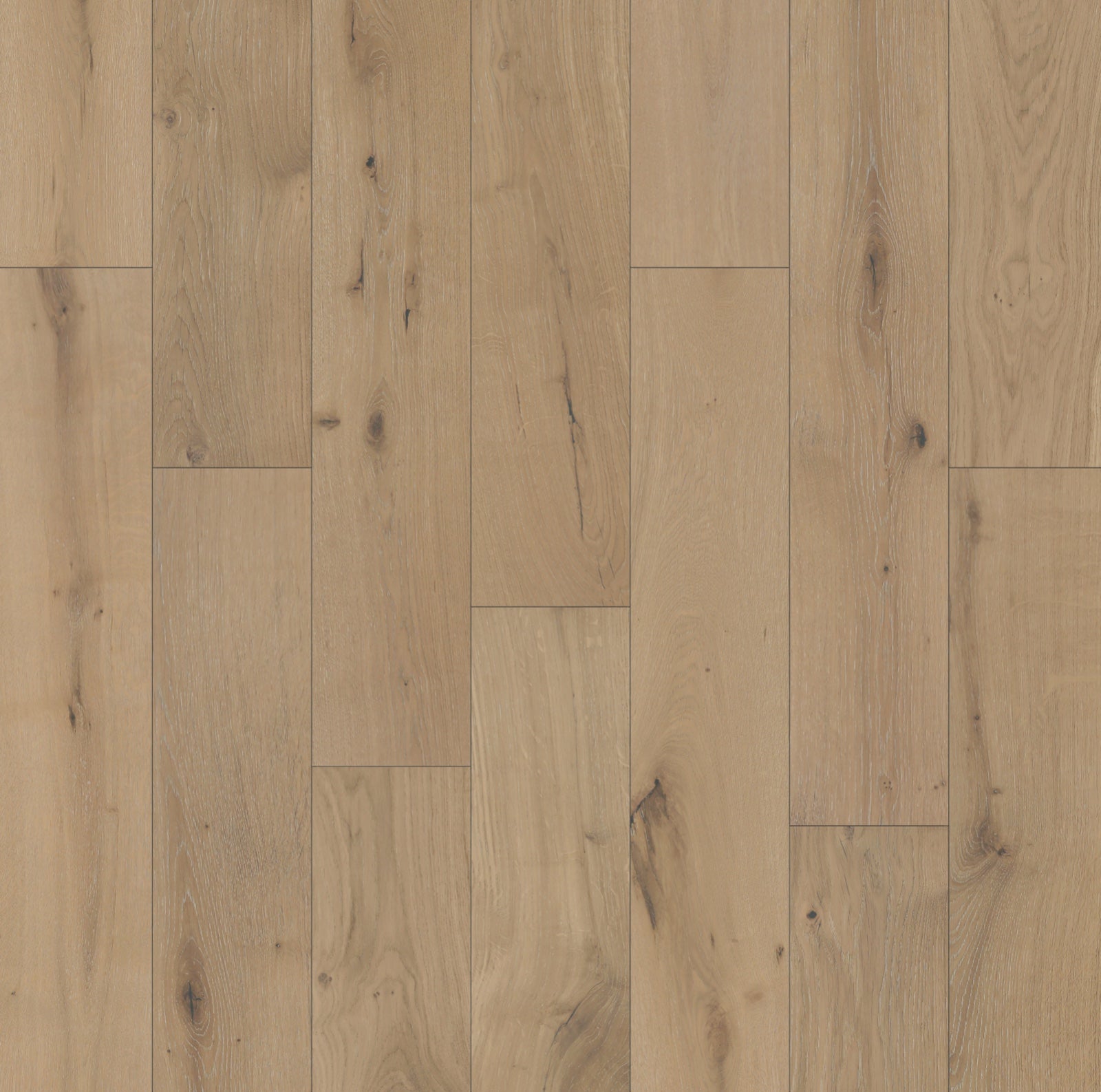 Hardwood Glacier ENCHANTED COLLECTION