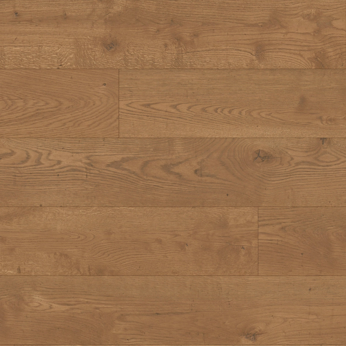 Windlass Helmstead - Annapolis by Horizon Forest