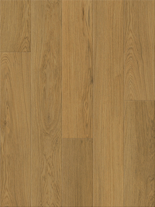 AHF Contract Dry Back LVT HONEY RIDGE 1LV09201 Nod to Nature REWILDING