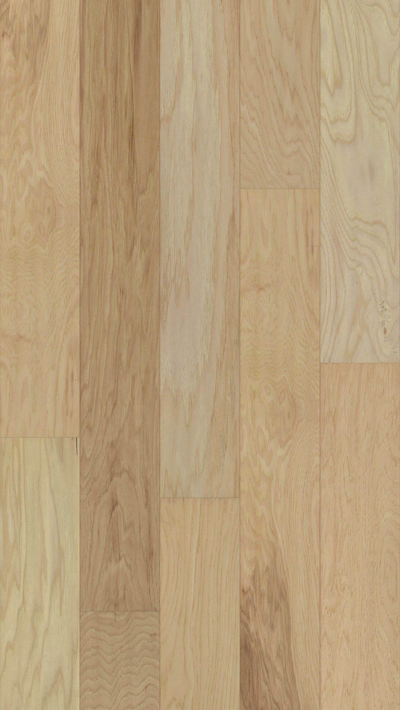 Hardwood Jacoby TRINITY