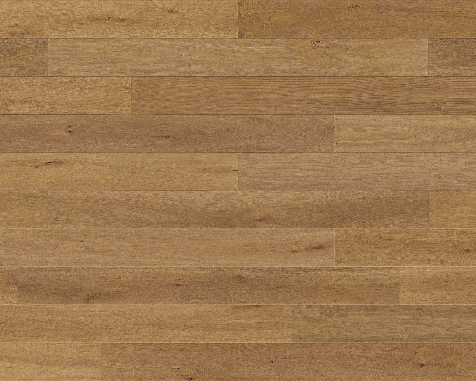 Hardwood Klausen RCWO14KL7 Renaissance Collection