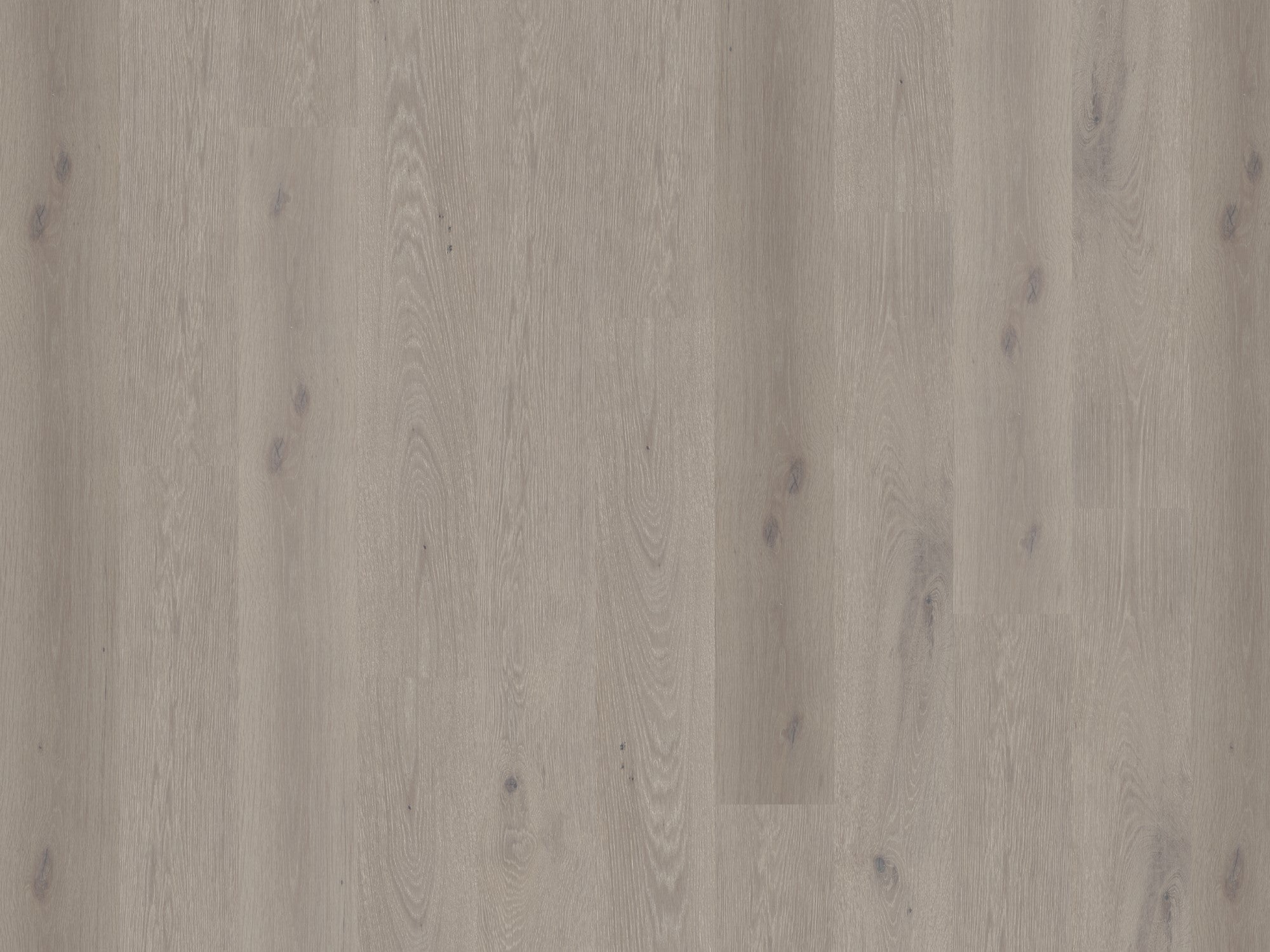 Hardwood LEVANTE GLOBAL WINDS COLLECTION