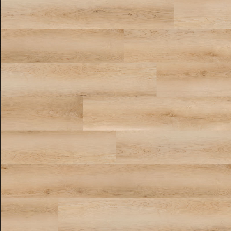 Nova Contemporary Maple Laguna DANSBEE - GLUE DOWN — alternate view