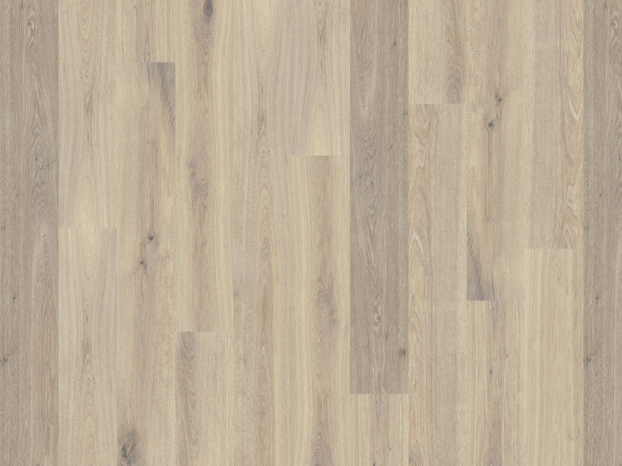 Hardwood MISTRAL GLOBAL WINDS COLLECTION