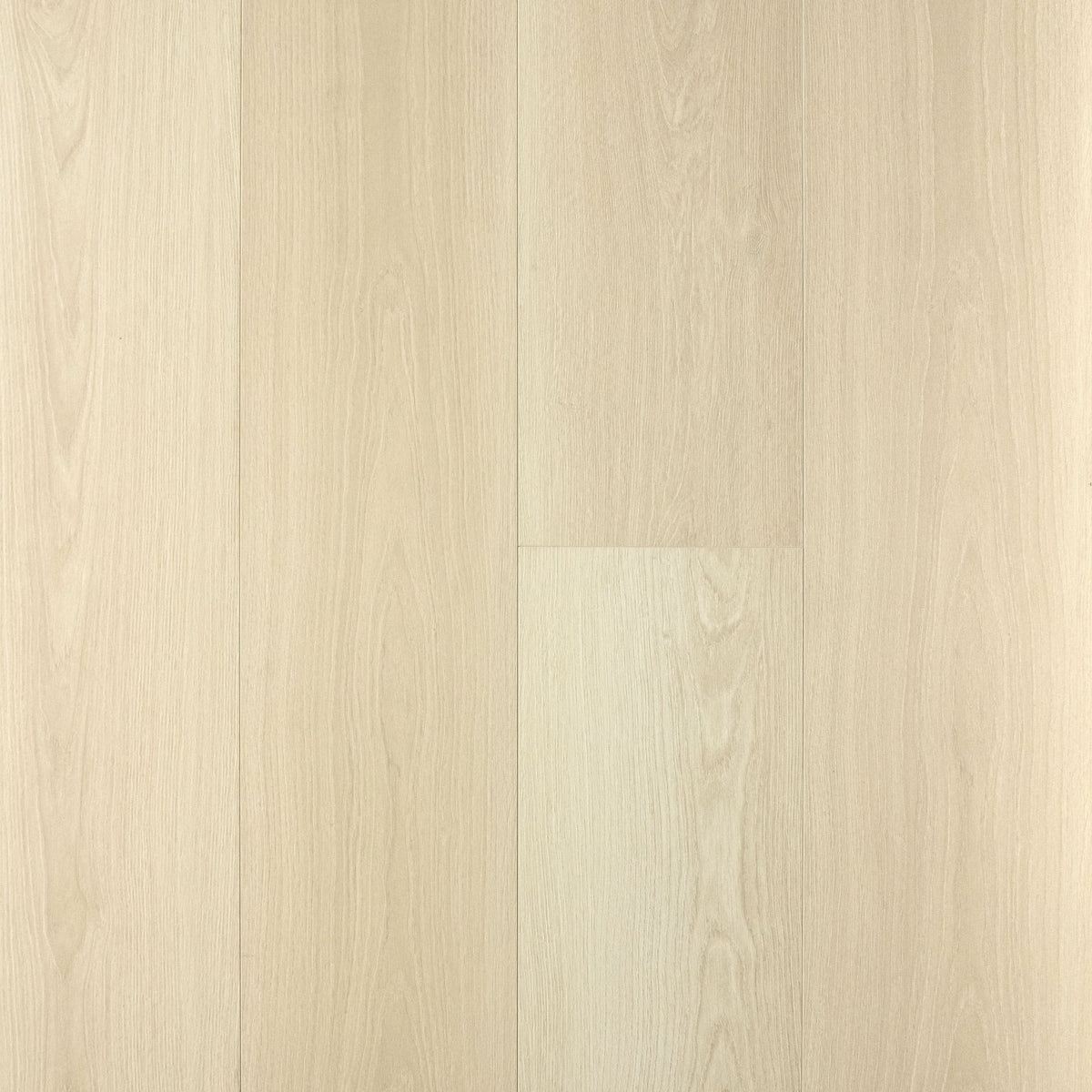 Laminate Marina Beachfront Select Collection by Echelon Floors