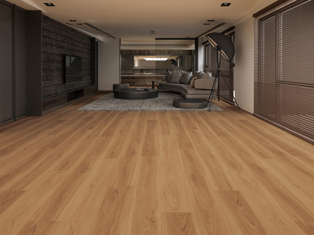 MEGACLIC Moneo MCGL-8802 Abbey Road Collection