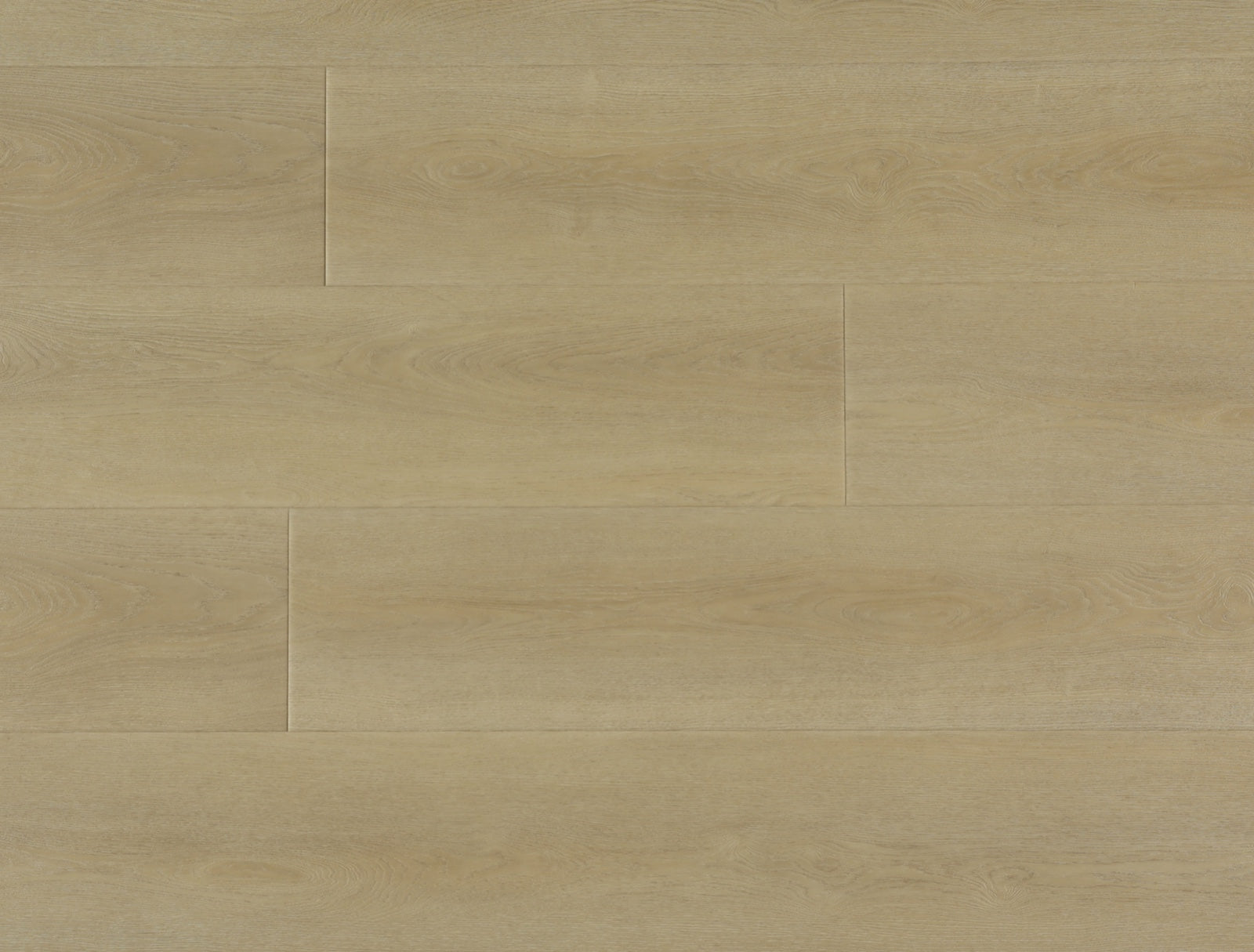 Vinyl Windswept S6221  SERENE SCAPES