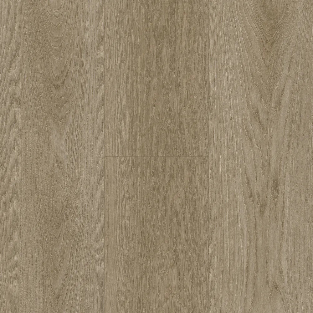 Vinyl Muse X-QCC-603 SPC QUIET CLOUD